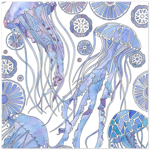 Aguas Jellyfish