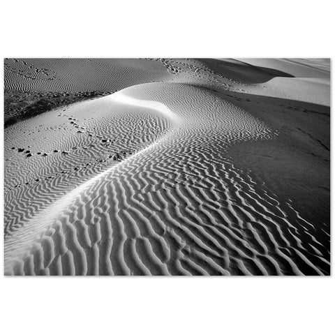 Desert Lines II
